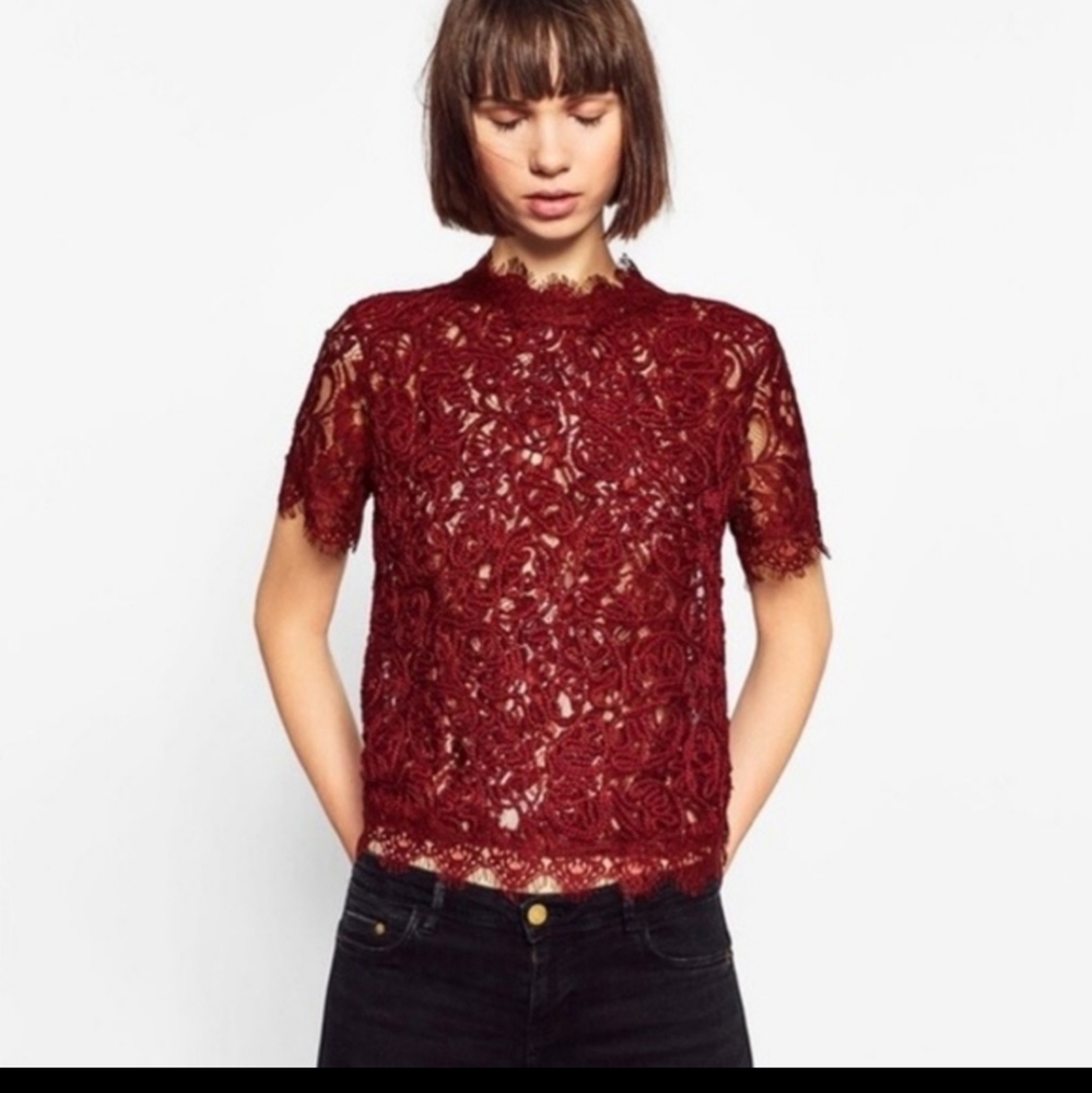 ZARA crop lace party holiday shirt. Size S.